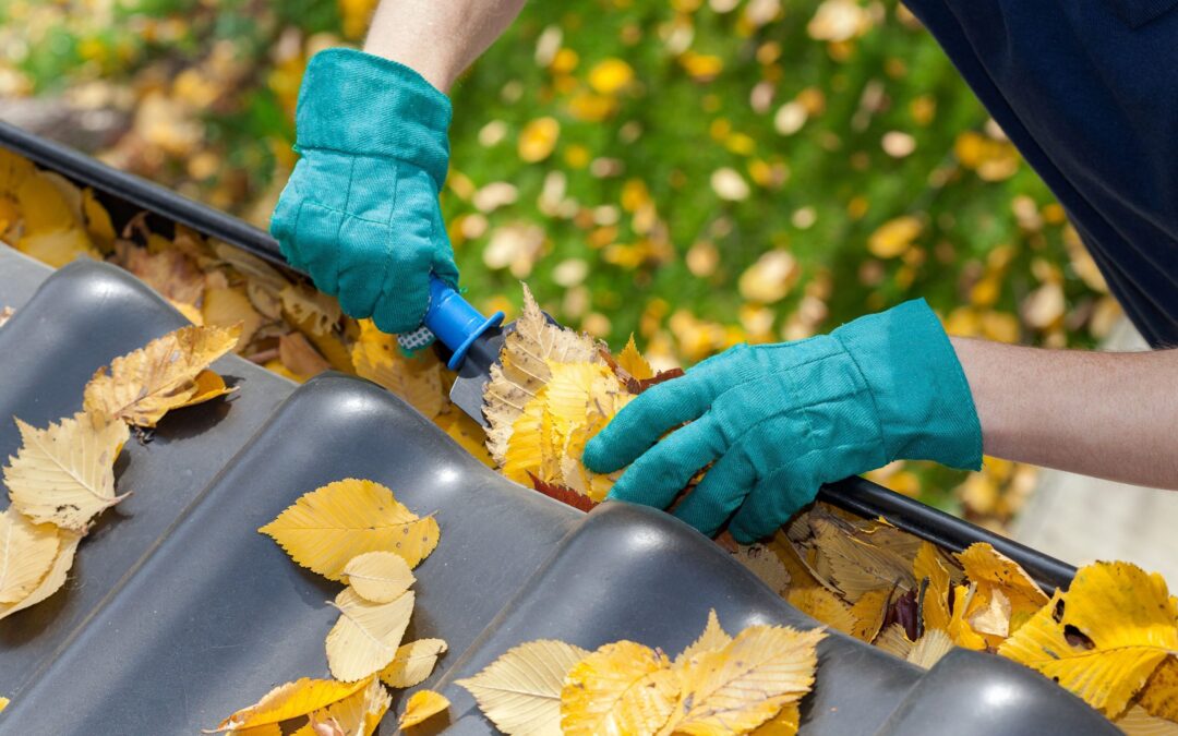 Fall Home Improvement Projects